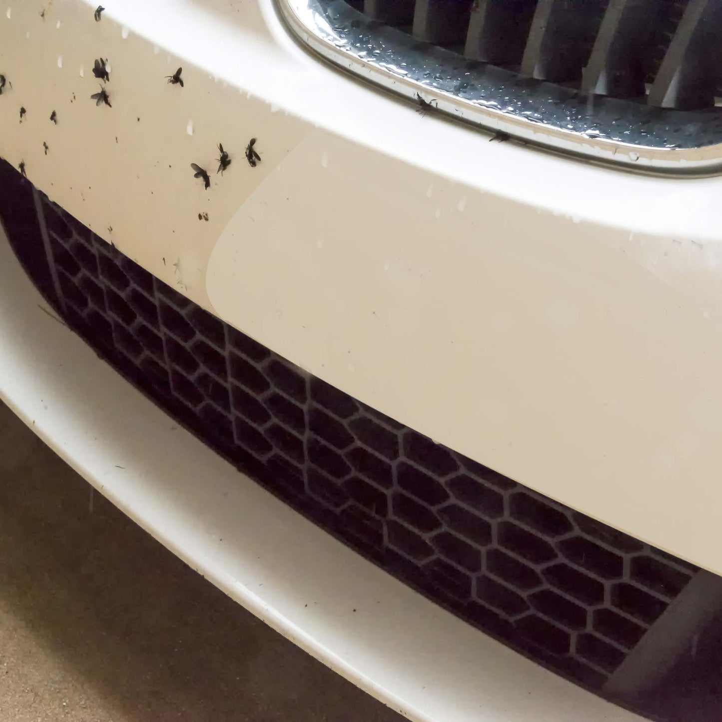 Insect Wipes™ - Easy Water Clean Up